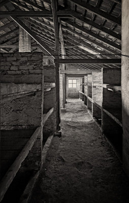 Auschwitz-Birkenau 9