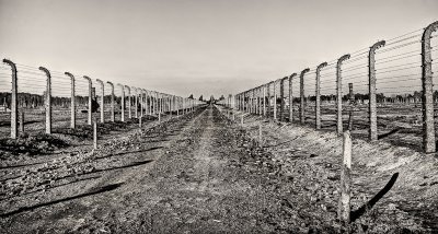 Auschwitz-Birkenau 11