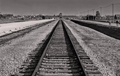 Auschwitz-Birkenau 2