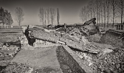 Auschwitz-Birkenau 14