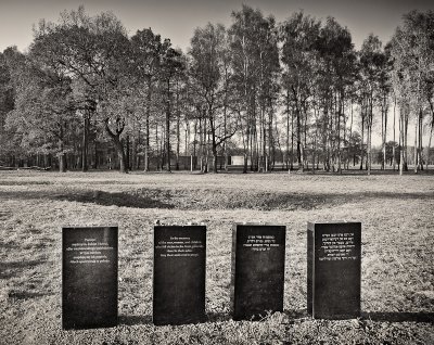 Auschwitz-Birkenau 15