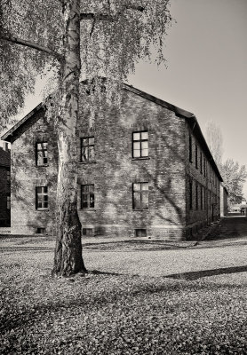 Auschwitz One 6