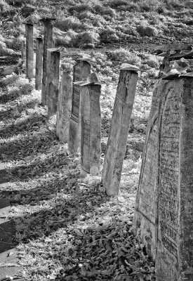 Krakow Jewish Cemetery IR 2