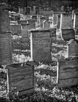 Krakow Jewish Cemetery IR 3