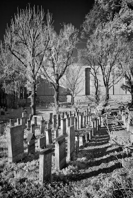 Krakow Jewish Cemetery IR 4