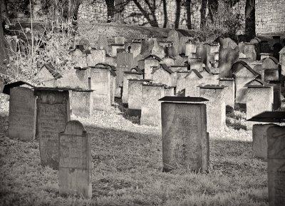 Krakow Jewish Cemetery IR 6