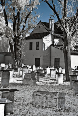 Krakow Jewish Cemetery - IR