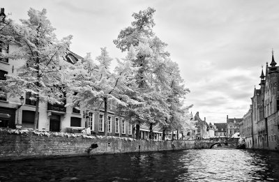 Bruges in IR