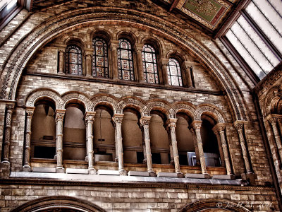 Natural History Museum 