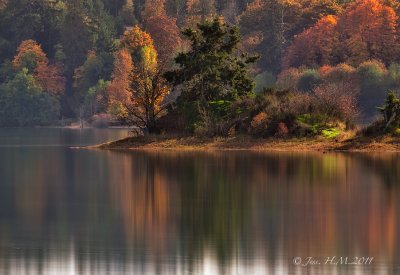 Reflections of Autumn