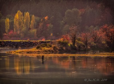 Autumn in the River Estuary