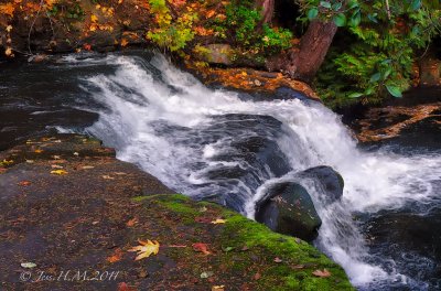 Autumn Water