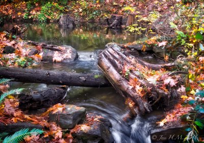 Autumn Decorations