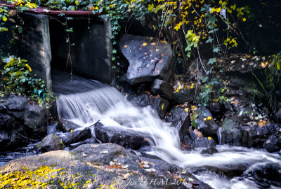 Old Fish Ladder