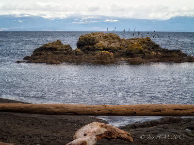 A Coastal Scene