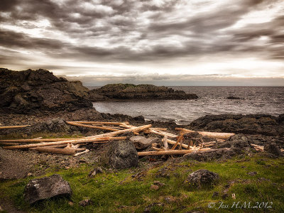 Driftwood and approaching storm