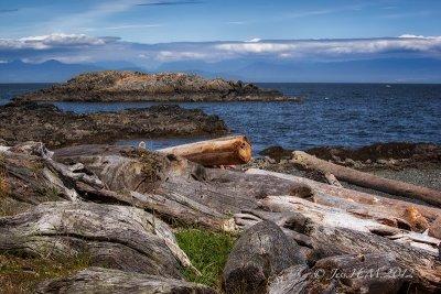 Driftwood and Islands