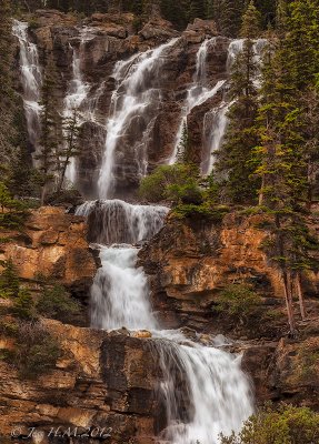 Tangle Falls  Jasper National Park