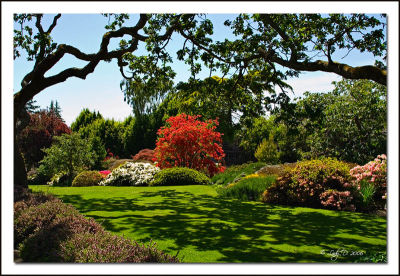 Abkhazi Gardens