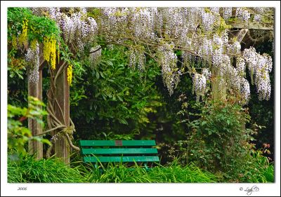 Beacon Hill Park