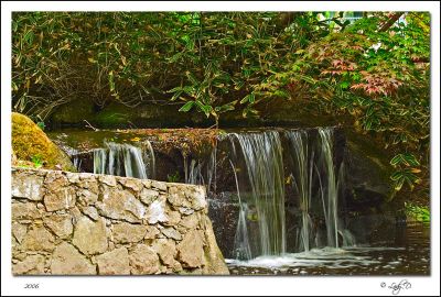 Beacon Hill Park