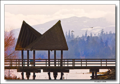 Viewing Deck Courtenay River Estuary.