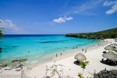 Grote Knip