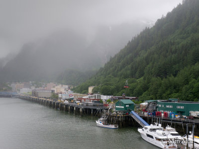 There's the cable car going up to the top of the mountain but we did not left our ship. We would not be able to see much in the the cloud covered top anyway. Juneau is half within the waterfront and the other half on the edge of these mountains... Very strange and it's not a large city as I expected. This is the capital of Alaska, U.S.A.