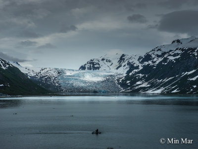 A view of a different type of glacier with darker color. This one is not as bright as The Margerie Glacier. 