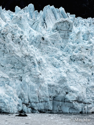 A formal portrait of The Margerie Glacier - from the water line (base) to the top is about 250 feet tall (76.2 meters).