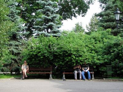 Anonymous Bench