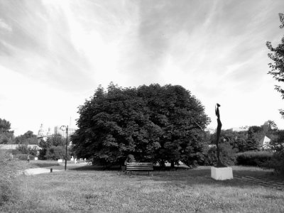 Double Tree and Sculpture