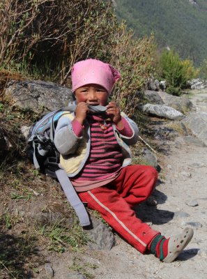 Himalayan Kid With Pink Bandada