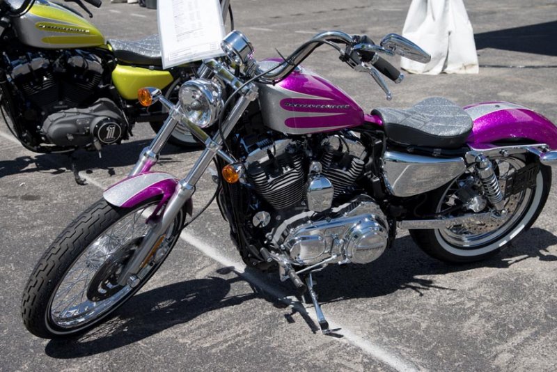 Ladies Sportster 72