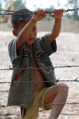 Young model