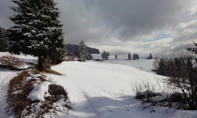 DSC01287.JPG