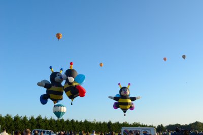 The Bee's rise