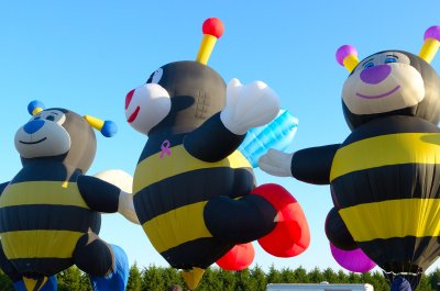 The Three Bee's frontside