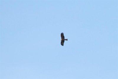 IMG_5975argonne.JPG