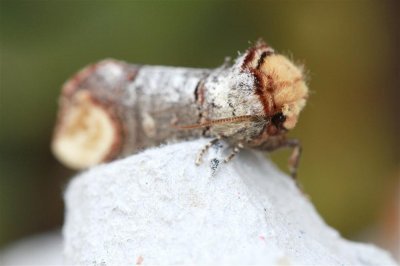 IMG_6067.JPG