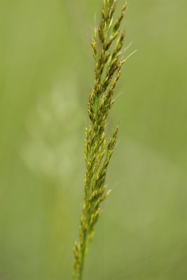 IMG_6238kh monit.JPG