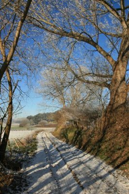 kh20071222 (01).JPG