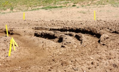 050_sc_ruts.JPG
