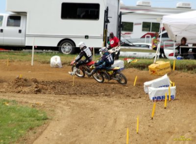 037_liston_palonicola.JPG