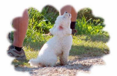 SINGING DOG.JPG
