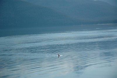 Alaska 2011_049.JPG