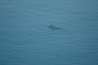 Alaska 2011_055.JPG