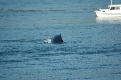 Alaska 2011_089.JPG