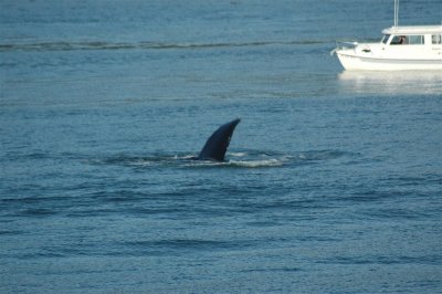 Alaska 2011_090.JPG