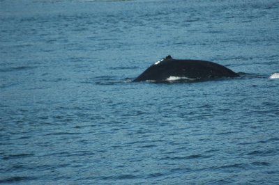 Alaska 2011_091.JPG